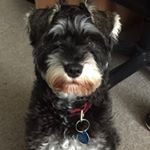 Profile Picture of Ariel Rogers (@ariel_rog) on Instagram