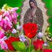 Profile Picture of Lucia Concepcion (@lucia.concepcion.773) on Facebook