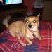 Profile Picture of Sherrie Haigh (@sherrie.haigh.1) on Facebook