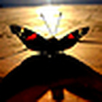 Profile Picture of Alexandra  Sanz (@alex_cs) on Flickr