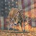 Profile Picture of James Stump (@james.stump.5059) on Facebook