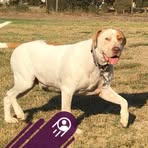 Profile Picture of Michael Schlaback (@michael.schlaback) on Facebook