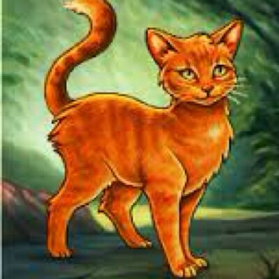 Profile Picture of Helen Mitchell (@HelenMitch25) on Twitter