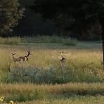 Profile Picture of Jeffrey Arney (@Jeffrey-Arney) on Facebook