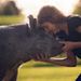 Profile Picture of Ronel Engnell (@engnellronel) on Pinterest