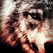 Profile Picture of Daniel Arvizu (@danielarvizu6368) on Youtube
