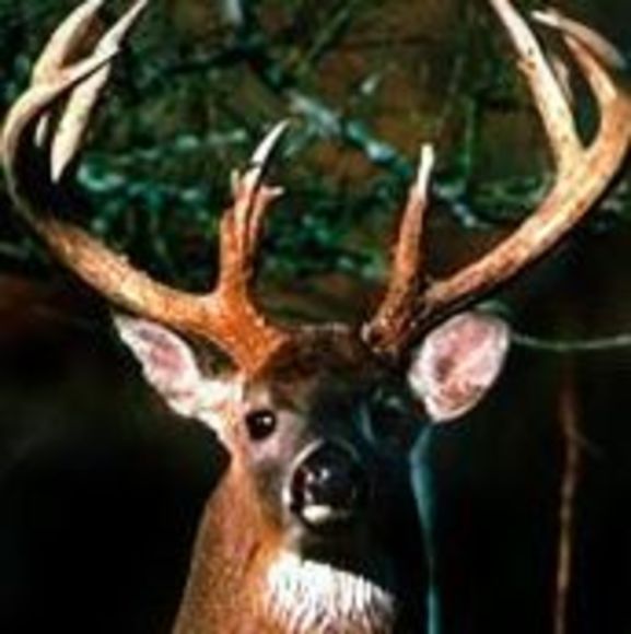 Profile Picture of John Downs (@johndowns82) on Poshmark