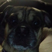 Profile Picture of Joe Shockley (@nommed77) on Youtube