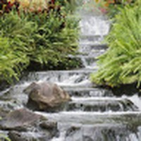 Profile Picture of Tibor Molnar (@tibor-molnar-20) on Quora