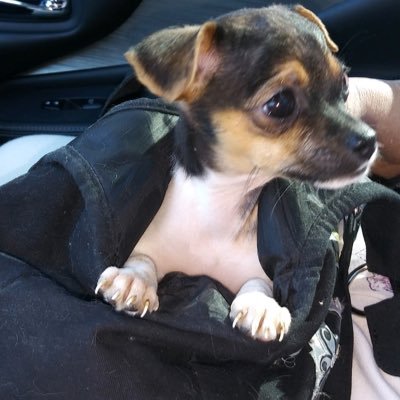 Profile Picture of Ruth Cox (@ruthcox03472011) on Twitter