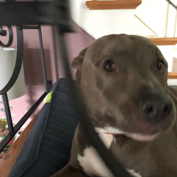 Profile Picture of Lia Cloeren (@loveposhmark400) on Poshmark