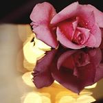 Profile Picture of Eloise Carey (@tha.doood) on Instagram