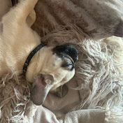 Profile Picture of Violet Knight (@VioletKnight-kj2ke) on Youtube