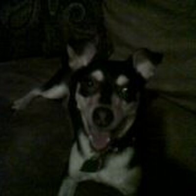 Profile Picture of Bobbie McKay (@bobbiemac56) on Twitter
