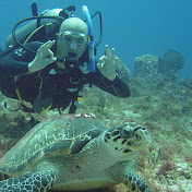 Profile Picture of Luc Martin (@LucMartin) on Youtube