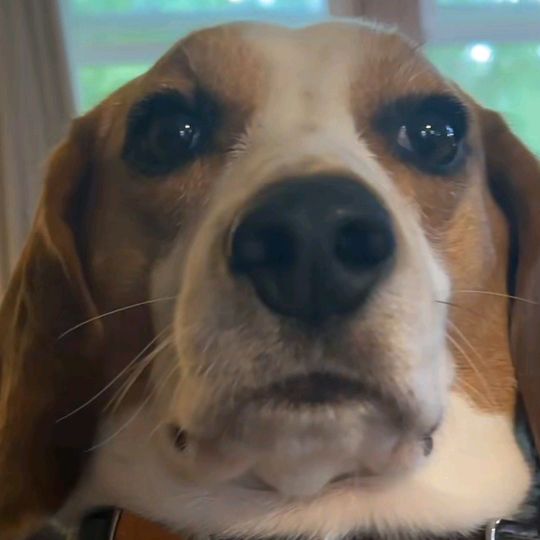 Profile Picture of Sebastian Hann (@sebastianohann) on Tiktok