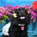Profile Picture of Annette Wagner (@awags1964) on Pinterest