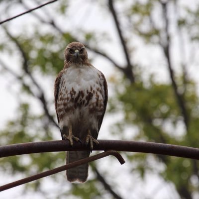 Profile Picture of Daniel Kulas (@KulasDaniel) on Twitter