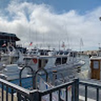 Profile Picture of Amanda Min (@amanda-min-7) on Quora