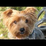 mandygaulton - Instagram Profile Picture of mandygaulton (@mandygaulton) on Instagram