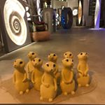 Profile Picture of Xiaojingchen (@xiaojingchen0123) on Instagram