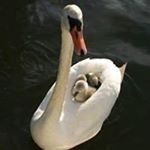 Profile Picture of AnaLuisa Alvarado Bacilio (@analuisaalvaradobacilio) on Instagram