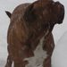 Profile Picture of Tricia Phillips Benoit (@sampson111) on Pinterest