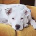 Profile Picture of Sharon Chambers (@sharon.chambers.522) on Facebook