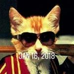 Profile Picture of Katz Amos (@katzamos3) on Instagram