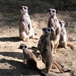 Profile Picture of Kévin Nazé (@kevin_naze31) on Instagram