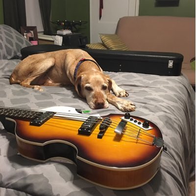 Profile Picture of Scott Lucks (@ScottLucks) on Twitter