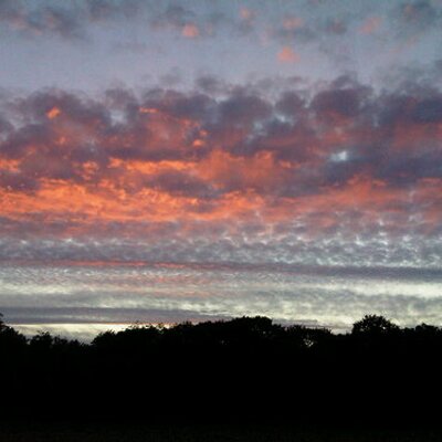 Profile Picture of Graham Rowley (@rowley_graham) on Twitter