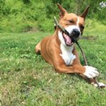 Profile Picture of Brian Agren (@a_money029) on Instagram