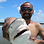 Profile Picture of Adrian Velez (@vel007) on Flickr