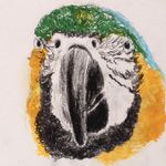 Profile Picture of Jeremy Bunn (@jbunm) on Instagram