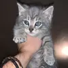 Profile Picture of az9165 (@aaron..zisler) on Tiktok