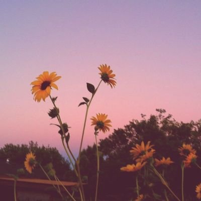 Profile Picture of D E R V A L Xo (@derval_x) on Twitter