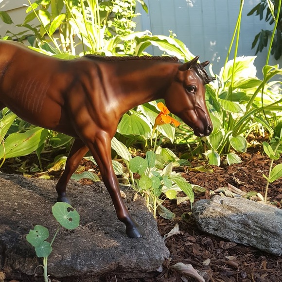Profile Picture of Galaxy Breyer (@galaxy_breyer) on Poshmark