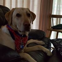 Profile Picture of Kim Major Goffredo (@kim-major-goffredo) on Quora