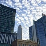 Profile Picture of Jesse Stacey (@boomerangcowsco) on Instagram