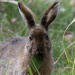 Profile Picture of Jun Sato (@jun.0330.sato) on Instagram