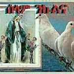 Profile Picture of Aster Teklezhgi (@jonathan20127406) on Instagram