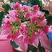 Profile Picture of Richard Tupper (@richard.tupper.58) on Facebook