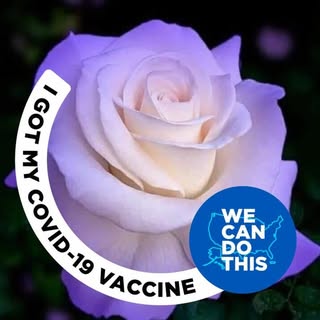 Profile Picture of Joshua Fetner (@joshuafetner) on Instagram