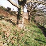 Profile Picture of Richard Bernier (@eligevitam) on Instagram