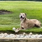 Profile Picture of Scott Legnon (@Scott-Legnon) on Facebook