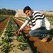 Profile Picture of Vinu Patels (@Ipsvinu) on Pinterest