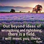 Susie Callahan - Instagram Profile Picture of Susie Callahan (@greg_scott1q) on Instagram