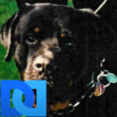 Profile Picture of Robert L Gallimore (@gbismarc) on Twitter