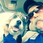 Profile Picture of Carl Zoch (@zochcarl) on Instagram